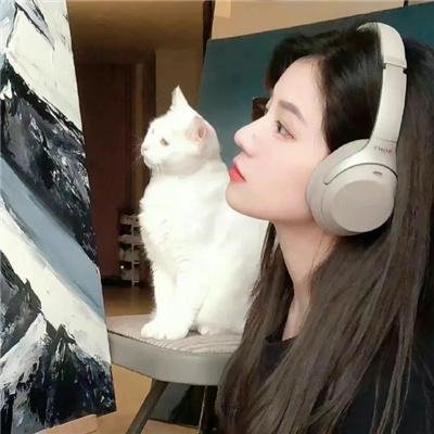 悬疑档案
